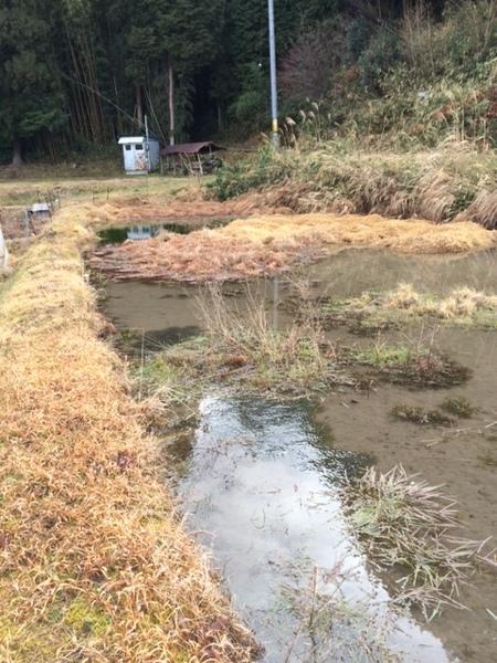 山に囲まれた田んぼの中に水が溜まっている写真
