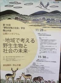 第19回「野生生物と社会」のチラシ
