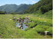 やまの麓に小川が流れており緑豊かな様子の写真