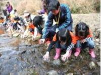 川岸に子ども達が集まってコップにいれた幼生を放流している様子の写真