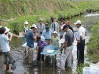足首までの水位の川の中に机が設置されており、机の上に置かれた水槽に川で見つけた生き物を入れて観察している様子の写真