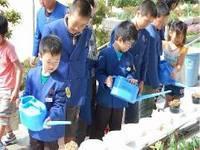 青いブレザーをきた男の子がじょうろを持って水やりをしており、上級生の男児が見守っている様子の写真