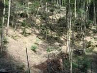 森林の奥地に植生保護柵を設置した様子の写真