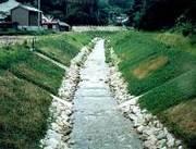 コンクリートで整備されているが、緑や石で表面処理されている河川の写真