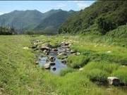 川の中に石や緑が生い茂ってっている武庫川の写真