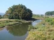 両脇が緑に覆われ、流れが緩やかな篠山川の写真