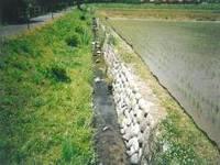 田んぼの土手の下に流れる片側は自然護岸、片側は石積みによる水路の写真