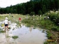 耕作放棄田を整備して水を張っている田んぼに子ども達が入っている様子の写真