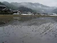 冬期に作付しない田んぼに水を張った様子の写真