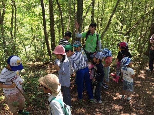 緑の木々が生い茂る山中を散策している子供たちと、引率の女性の写真