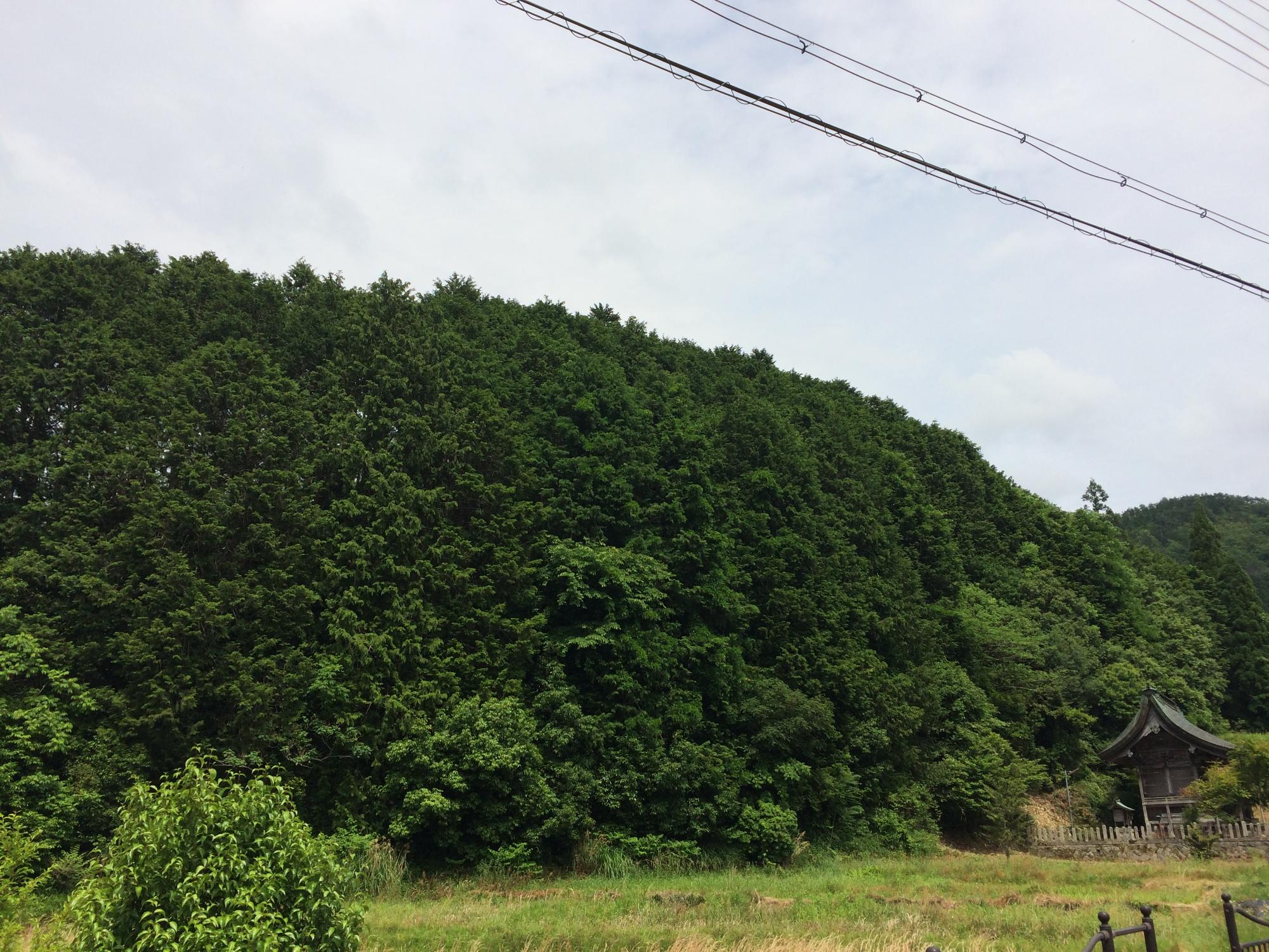 岩崎城があったといわれる山