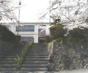 旧校舎手前の階段の中央に咲いている菜の花と、桜の開花が写っている写真