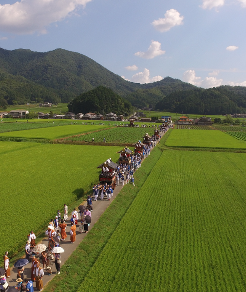 田んぼの中のあぜ道を大勢の人達が山車をひいて歩いている様子を上空からうつした写真