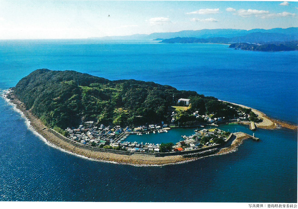 集落の周りに港があり、半分は森の茂った、海の中に浮かぶ島の写真