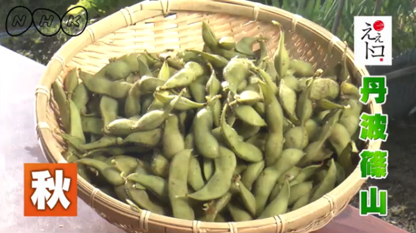 竹製のざるにたくさんの黒枝豆が入っている（NHKええトコ 丹波篠山 秋）の写真