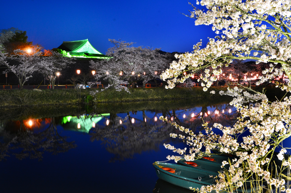 ライトアップされた夜桜と大書院が手前にある水堀の水面に映っている写真