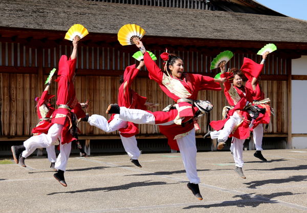 5人の女性たちが飛び跳ねながら元気によさこいを踊っている写真