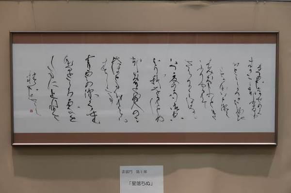 長方形の額に入っており、草書で書かれた「星落ちぬ」の作品の書の写真