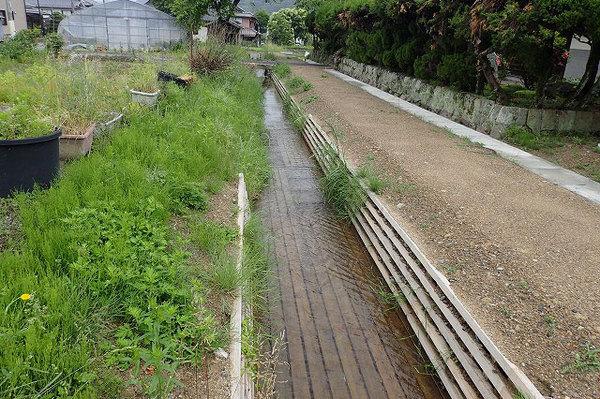 道端に作られた、木製水路の写真