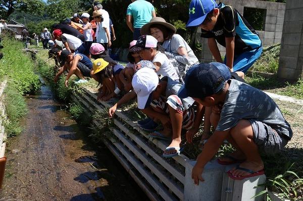 水路をのぞき込むたくさんの子供たちの写真