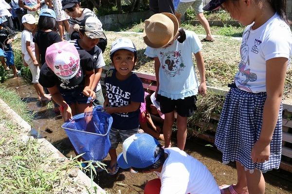 水路の中で、網を持ち何かを捕まえた子供たちの写真