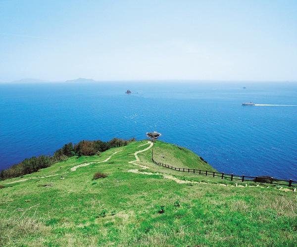 緑の芝生の高茂岬の先に見える青い海を右からフェリーが運航している風景写真