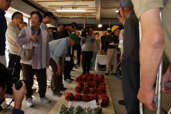 床に網の袋に入った栗が置かれていて、それを20名ほどの人達が囲んで見ている写真