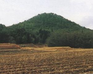 緑の山があり辺りは荒れた土地の写真