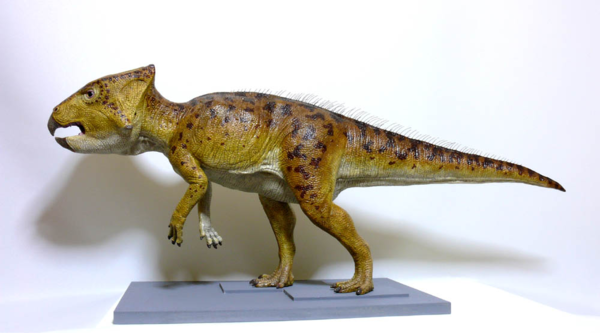 篠山市大山下にある1憶1000万年前の草食恐竜の化石の写真