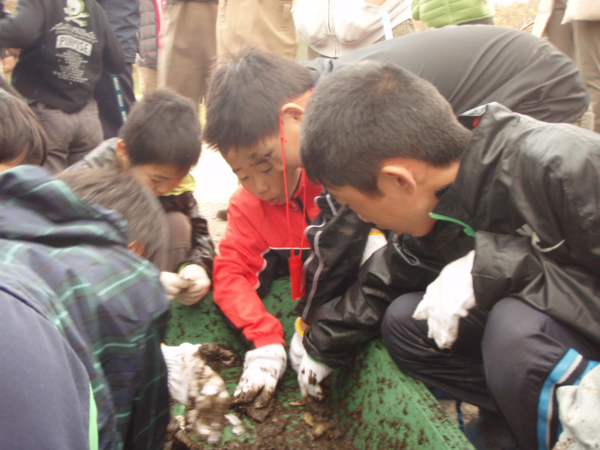 箱の中の泥の中に手を入れている男の子たちの写真