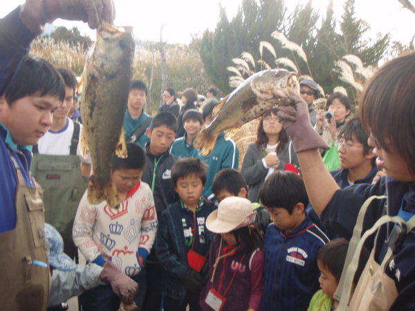 手袋をして、魚を持ち上げている2名の男性の周りに集まる沢山の参加者の写真
