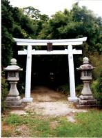 春日神社の鳥居を正面から撮った写真