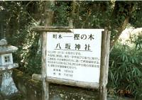 八坂神社の看板の写真