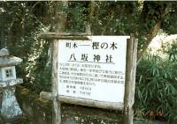 八坂神社の看板の写真