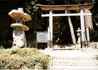 八幡神社の写真