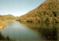 五坊谷池の写真