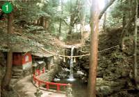 倶利迦羅不動尊の写真