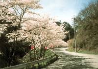 つづみ峠の写真