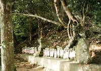 毘沙門堂の写真