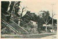 1955年の春日神社の写真