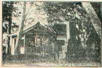 青山神社の古写真