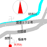 天然杉の地図