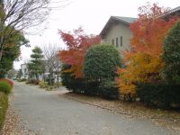 散歩道の写真。道の両脇に植木が植わっており、向こう側に建物が見える。