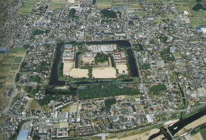 篠山城周辺の航空写真