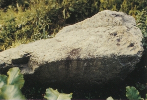 篠山城築城の集石場の写真