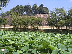 篠山城跡堀を挟んで撮られた篠山城跡の写真。