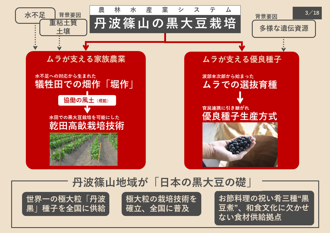丹波篠山の黒大豆栽培