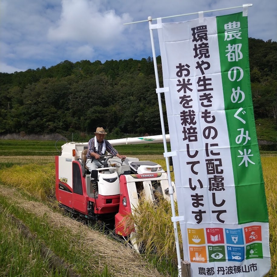 農都のめぐみ米収穫写真