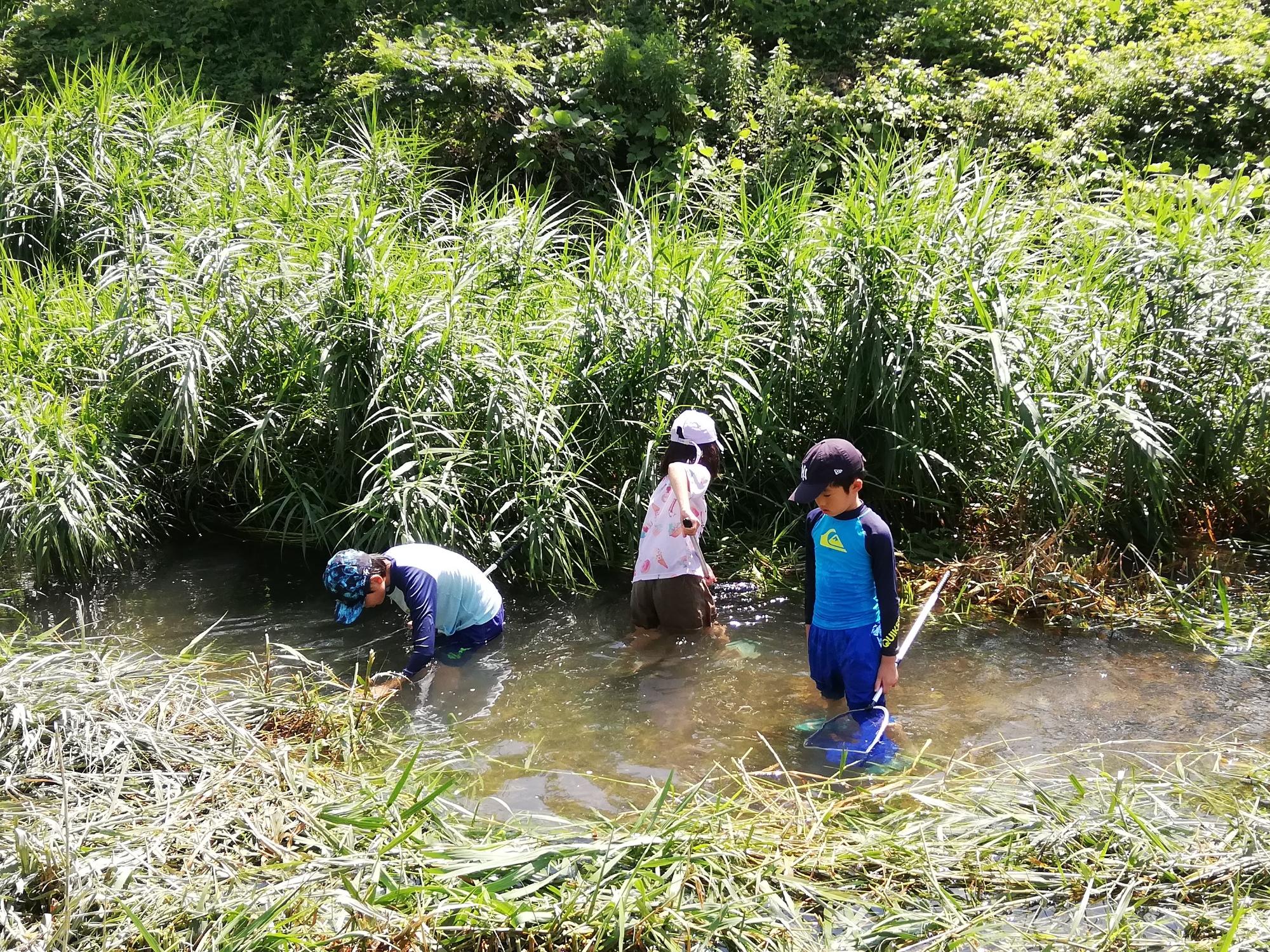 はじめてのガサガサ