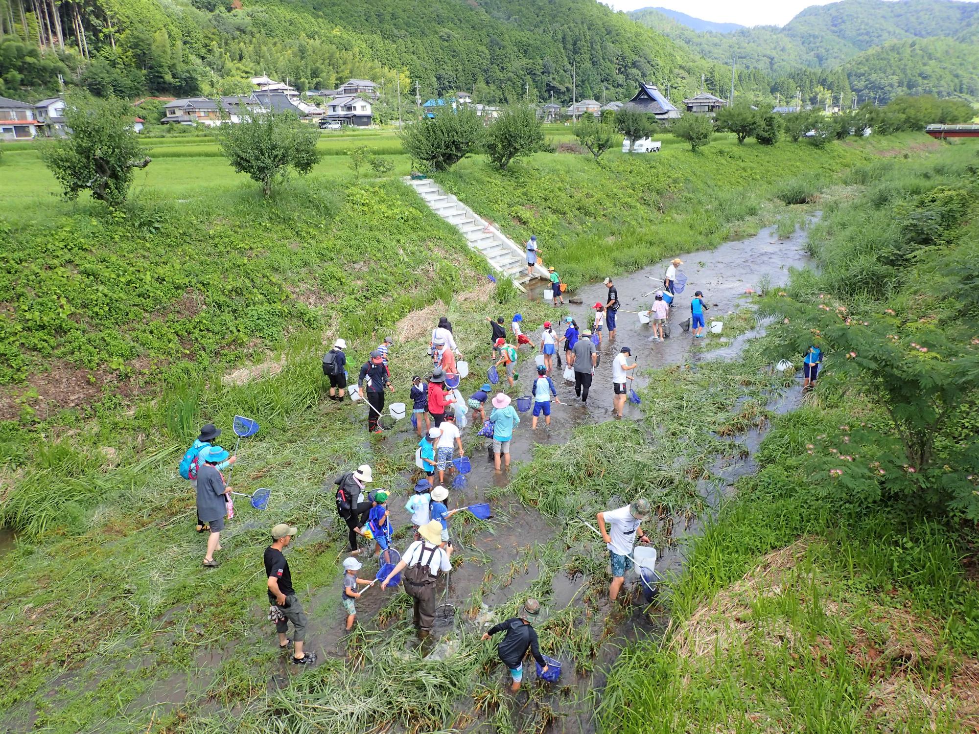 じゃことりの様子